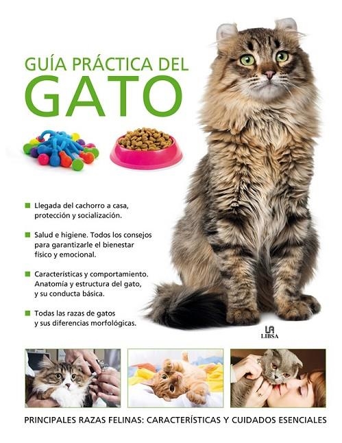 GUÍA PRÁCTICA DEL GATO | 9788466225762 | BESSANT, CLAIRE
