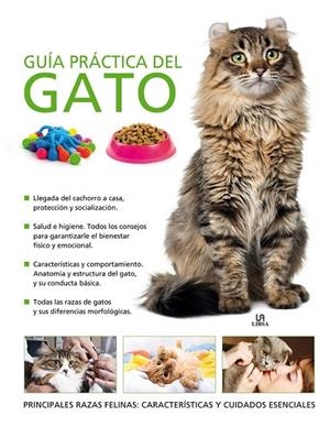 GUÍA PRÁCTICA DEL GATO | 9788466225762 | BESSANT, CLAIRE
