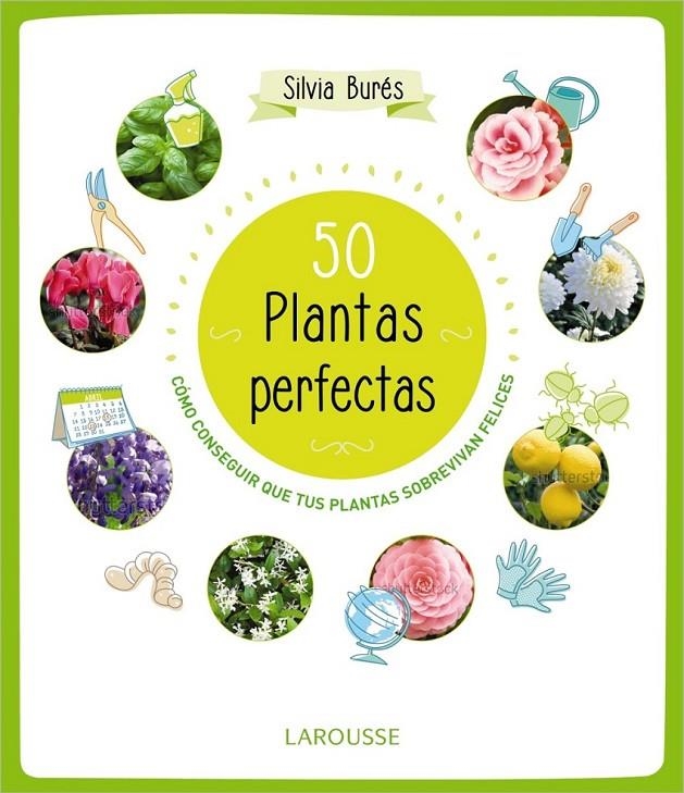 50 PLANTAS PERFECTAS | 9788415785897 | BURÉS, SILVIA