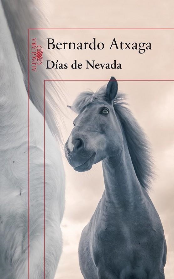 DÍAS DE NEVADA | 9788420415987 | ATXAGA, BERNARDO