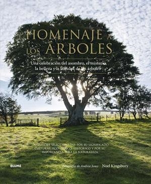 HOMENAJE A LOS ÁRBOLES | 9788416138562 | JONES, ANDREA
