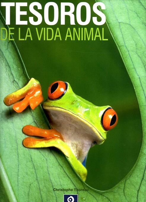 TESOROS DE LA NATURALEZA | 9788497942621 | THOREAU, CHRISTOPHE