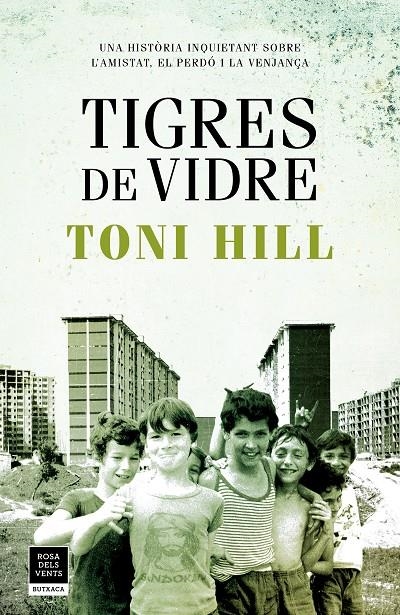 TIGRES DE VIDRE | 9788417444747 | HILL, TONI