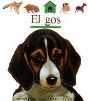 GOS, EL | 9788482860435 | GALLIMARD JEUNESSE, ÉDITIONS