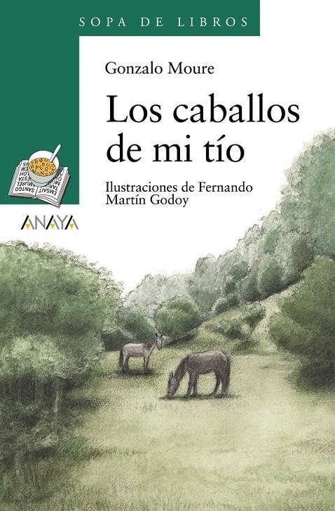 CABALLOS DE MI TIO, LOS | 9788420792316 | MOURE, GONZALO-MARTIN GODOY, FERNANDO