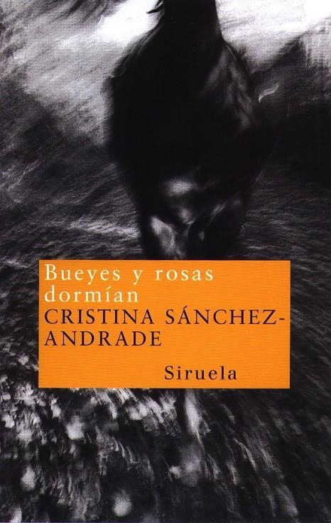 BUEYES Y ROSAS DORMIAN | 9788478445462 | SANCHEZ-ANDRADE, CRISTINA