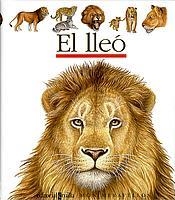 LLEO, EL | 9788466103763 | GALLIMARD JEUNESSE, ÉDITIONS