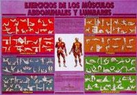 EDUCACION FISICA DE BASE, LA, 2 | 9788486475116 | Anónimas y colectivas