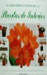 GRAN LIBRO ILUATRADO DE LAS PLANTAS DE INTERIOR,EL | 9788425509452 | SQUIRE, DAVID / SUTHERLAND, NEIL
