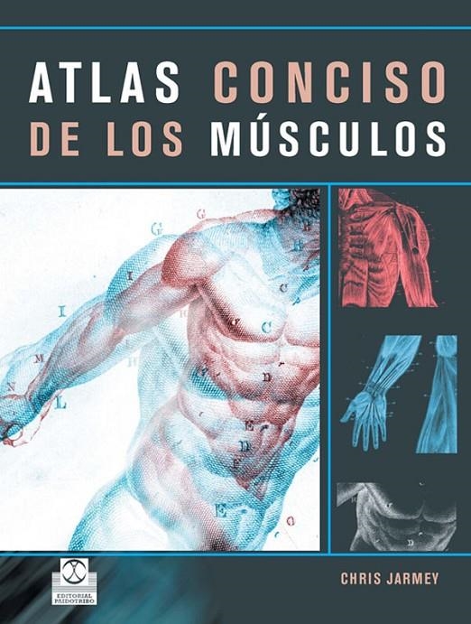 ATLAS CONCISO DE LOS MUSCULOS | 9788480199384 | JARMEY, CHRIS