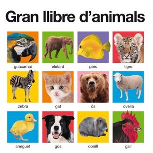 GRAN LLIBRE D'ANIMALS | 9788424641467 | A.A.V.V.