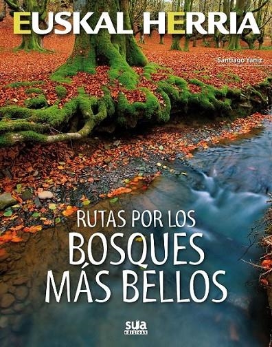 BOSQUES MAS BELLOS, RUTAS POR LOS | 9788482165394 | YANIZ, SANTIAGO