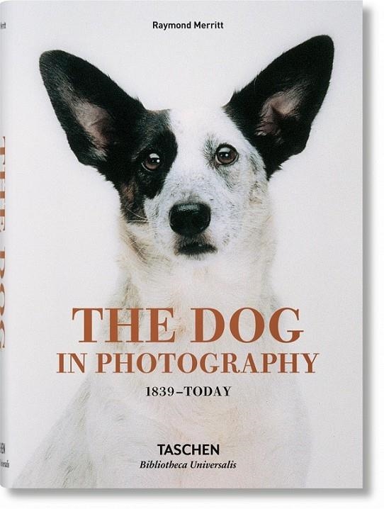 DOG IN PHOTOGRAPHY 1839–TODAY | 9783836567473 | MERRITT, RAYMOND