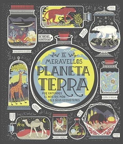 MERAVELLÓS PLANETA TERRA | 9788491378778 | IGNOTOFSKY, RACHEL