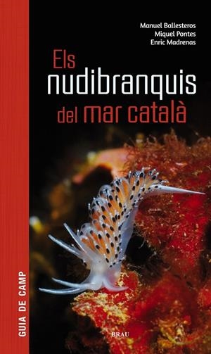 NUDIBRANQUIS DEL MAR CATALÀ | 9788415885924 | BALLESTEROS VÁZQUEZ, MANUEL/PONTES GARCIA, MIQUEL/MADRENAS TOMÀS, ENRIC