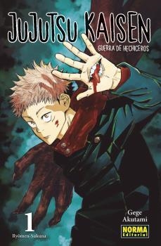 JUJUTSU KAISEN 01 (ED. REGULAR) | 9788467940657 | AKUTAMI, GEGE