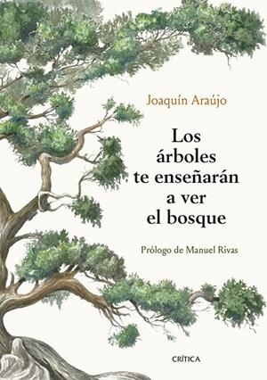 ÁRBOLES TE ENSEÑAN A VER EL BOSQUE, LOS | 9788491992080 | ARAUJO, JOAQUIN