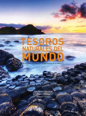 TESOROS NATURALES DEL MUNDO | 9788497859868 | MOLINA. PEDRO