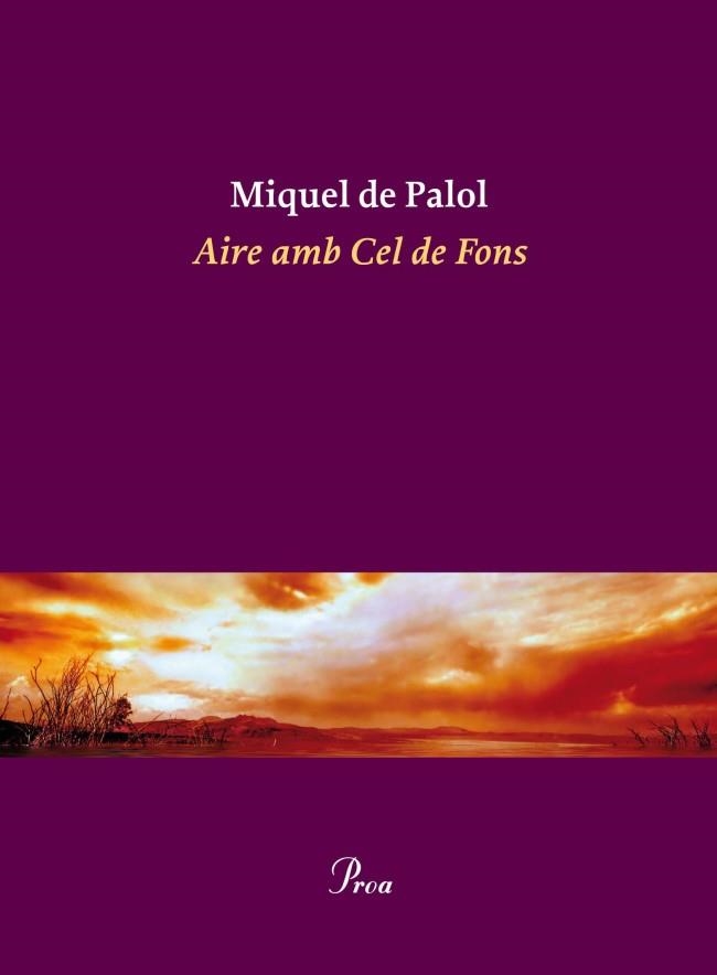 AIRE AMB CEL DE FONS | 9788475882932 | DE PALOL,MIQUEL