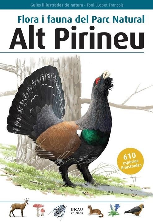 ALT PIRINEU, FLORA I FAUNA DEL PARC NATURAL | 9788496905153 | LLOBET, TONI (1975-