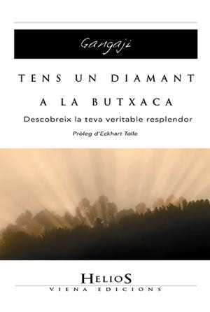 TENS UN DIAMANT A LA BUTXACA : DESCOBREIX LA TEVA VERITABLE | 9788483304525 | GANGAJI