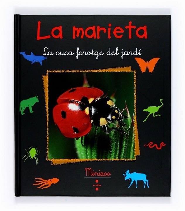 MARIETA, LA | 9788466120555 | TRACQUI, VALÉRIE