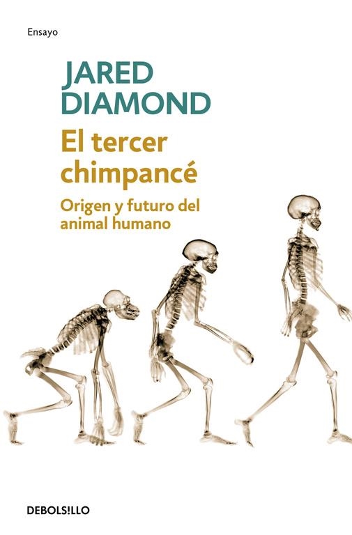 TERCER CHIMPANCE, EL | 9788483467497 | DIAMOND, JARED