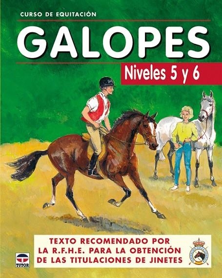 GALOPES NIVELES 5 Y 6 | 9788479025625 | GOAS, ANNA