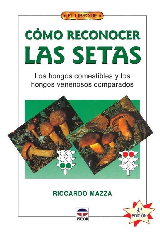 COMO RECONOCER LAS SETAS | 9788479026868 | MAZZA, RICCARDO