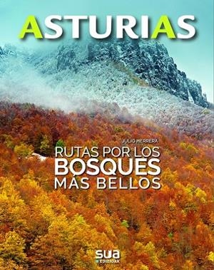 RUTAS POR LOS BOSQUES MÁS BELLOS | 9788482167190 | HERRERA MENENDEZ, JULIO