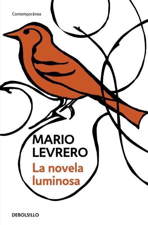 NOVELA LUMINOSA,LA | 9788499080260 | VARLOTTA LEVRERO, JORGE MARIO