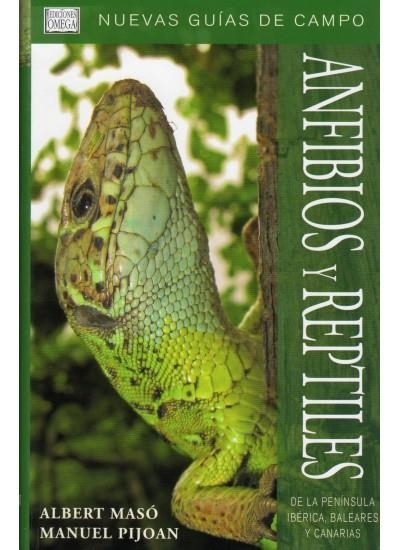 ANFIBIOS Y REPTILES | 9788428213684 | MASO,ALBERT