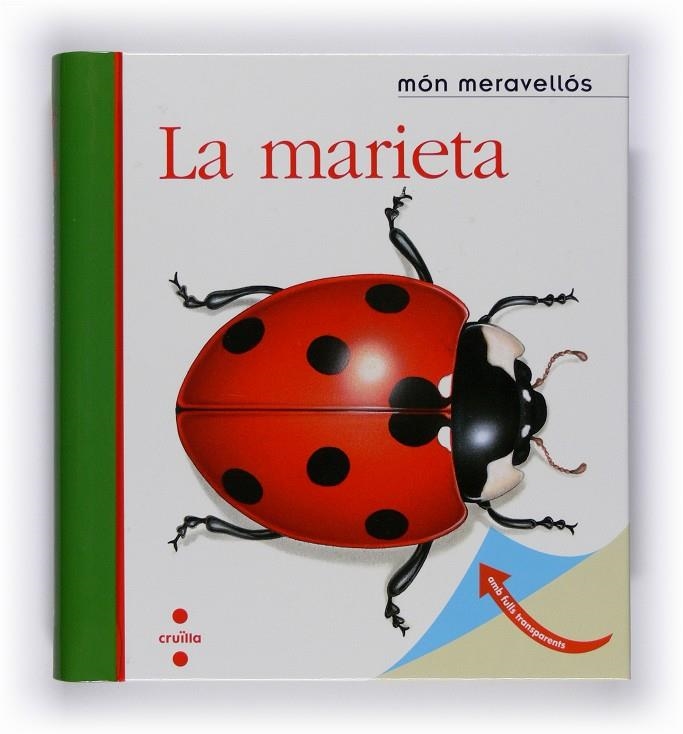 MARIETA, LA | 9788466120920 | GALLIMARD JEUNESSE, ÉDITIONS