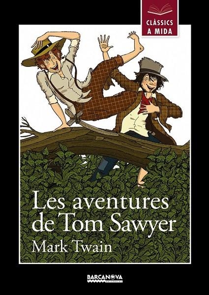 AVENTURES DE TOM SAWYER | 9788448930431 | TWAIN, MARK