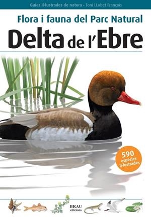 DELTE DE L'EBRE, FLORA I FAUNA DEL PARC NATURAL | 9788496905184 | LLOBET, TONI (1975-