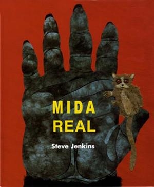 MIDA REAL | 9788426135001 | JENKINS, STEVE