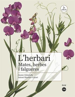 HERBARI: MATES, HERBES I FALGUERES | 9788491682981 | SÀNCHEZ CUXART, ANTONI/LLISTOSELLA VIDAL, JAUME