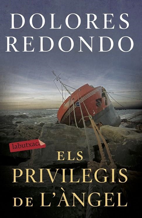 PRIVILEGIS DE L'ÀNGEL | 9788417423971 | REDONDO, DOLORES