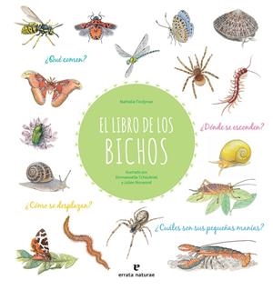 LIBRO DE LOS BICHOS | 9788417800413 | TORDJMAN, NATHALIE
