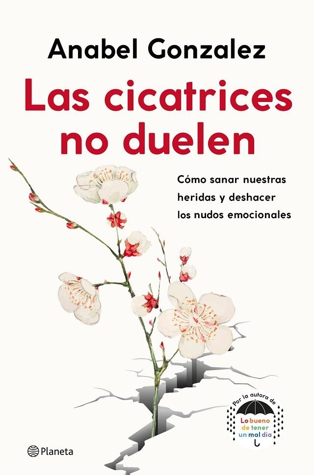 CICATRICES NO DUELEN | 9788408239093 | GONZALEZ, ANABEL