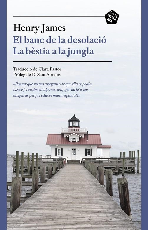 BANC DE LA DESOLACIÓ / LA BÈSTIA A LA JUNGLA | 9788412356410 | JAMES HENRY