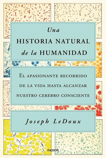 UNA HISTORIA NATURAL DE LA HUMANIDAD | 9788449338274 | LEDOUX, JOSEPH