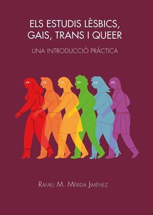 ESTUDIS LÈSBICS, GAIS, TRANS I QUEER | 9788491442684 | MÉRIDA JIMÉNEZ, RAFAEL M.