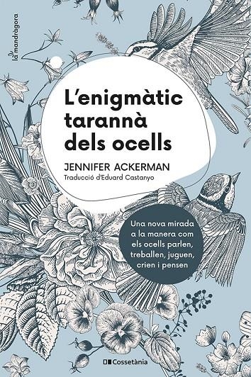 ENIGMÀTIC TARANNÀ DELS OCELLS | 9788413560472 | ACKERMAN, JENNIFER
