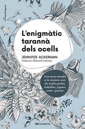 ENIGMÀTIC TARANNÀ DELS OCELLS | 9788413560472 | ACKERMAN, JENNIFER