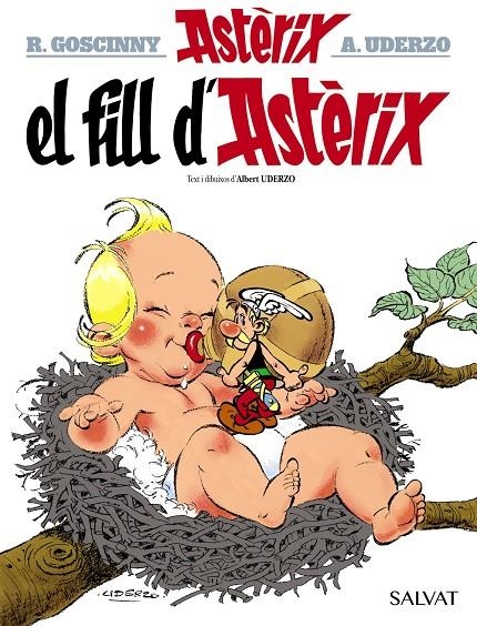 FILL D'ASTÈRIX | 9788469603079 | UDERZO, ALBERT