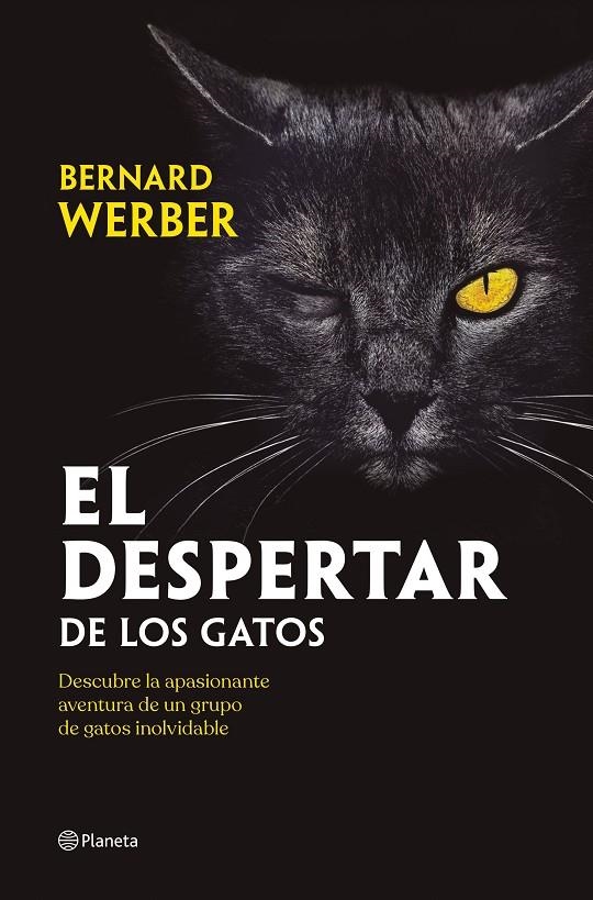 DESPERTAR DE LOS GATOS | 9788408251835 | WERBER, BERNARD