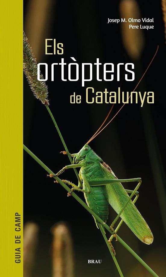 ORTÒPTERS DE CATALUNYA | 9788418096266 | OLMO VIDAL, JOSEP M/LUQUE PINO, PERE