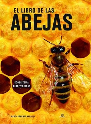 LIBRO DE LAS ABEJAS | 9788466240024 | SÁNCHEZ VADILLO, MARÍA