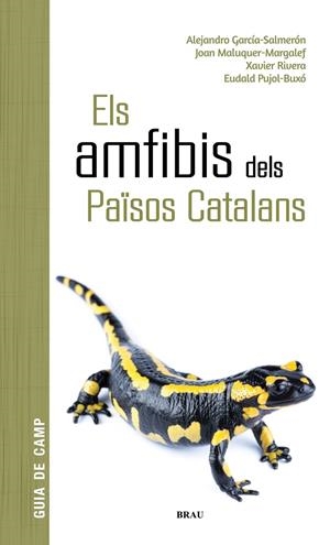 AMFIBIS DELS PAÏSOS CATALANS | 9788418096341 | GARCÍA SALMERÓN, ALEJANDRO/MALUQUER MARGALEF, JOAN/RIVERA MULA, XAVIER/PUJOL BUXÓ, EUDALD